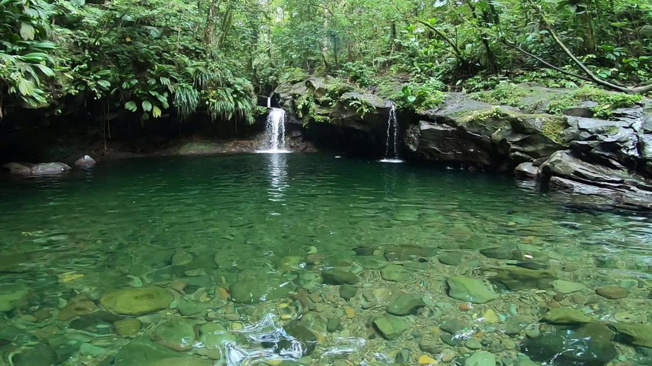 River Paradise Goyave Ngoại thất bức ảnh